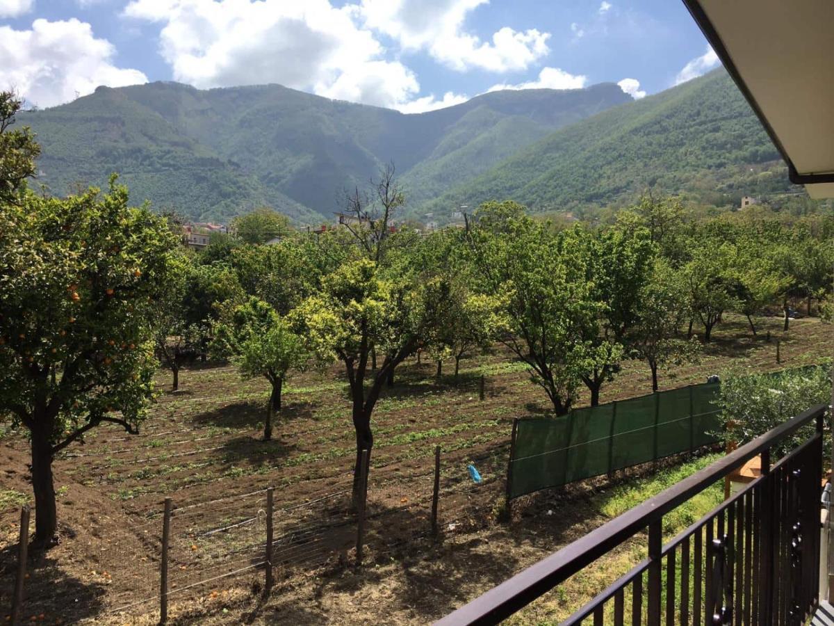 B & B Evergreen Corbara  Εξωτερικό φωτογραφία