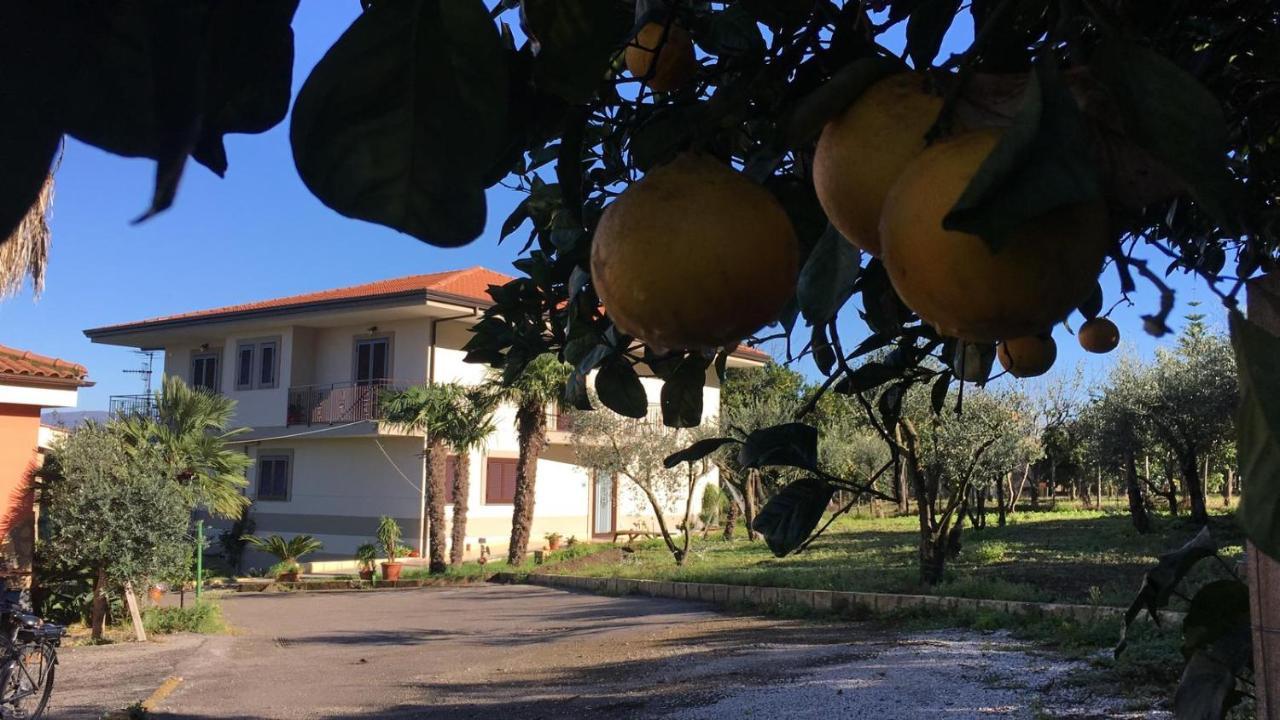 B & B Evergreen Corbara  Εξωτερικό φωτογραφία