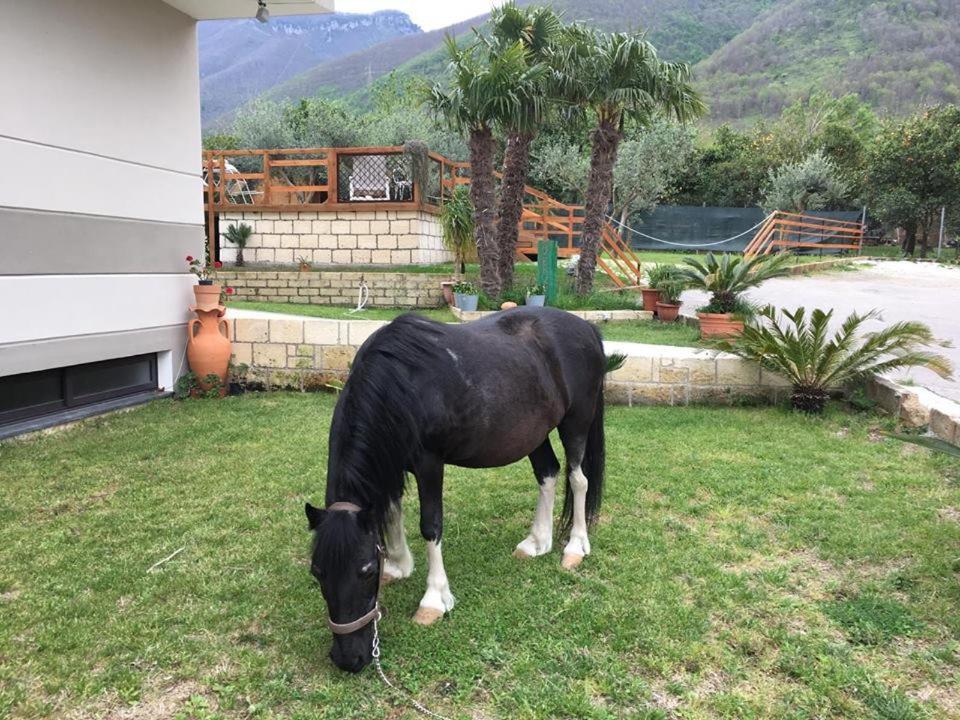 B & B Evergreen Corbara  Εξωτερικό φωτογραφία