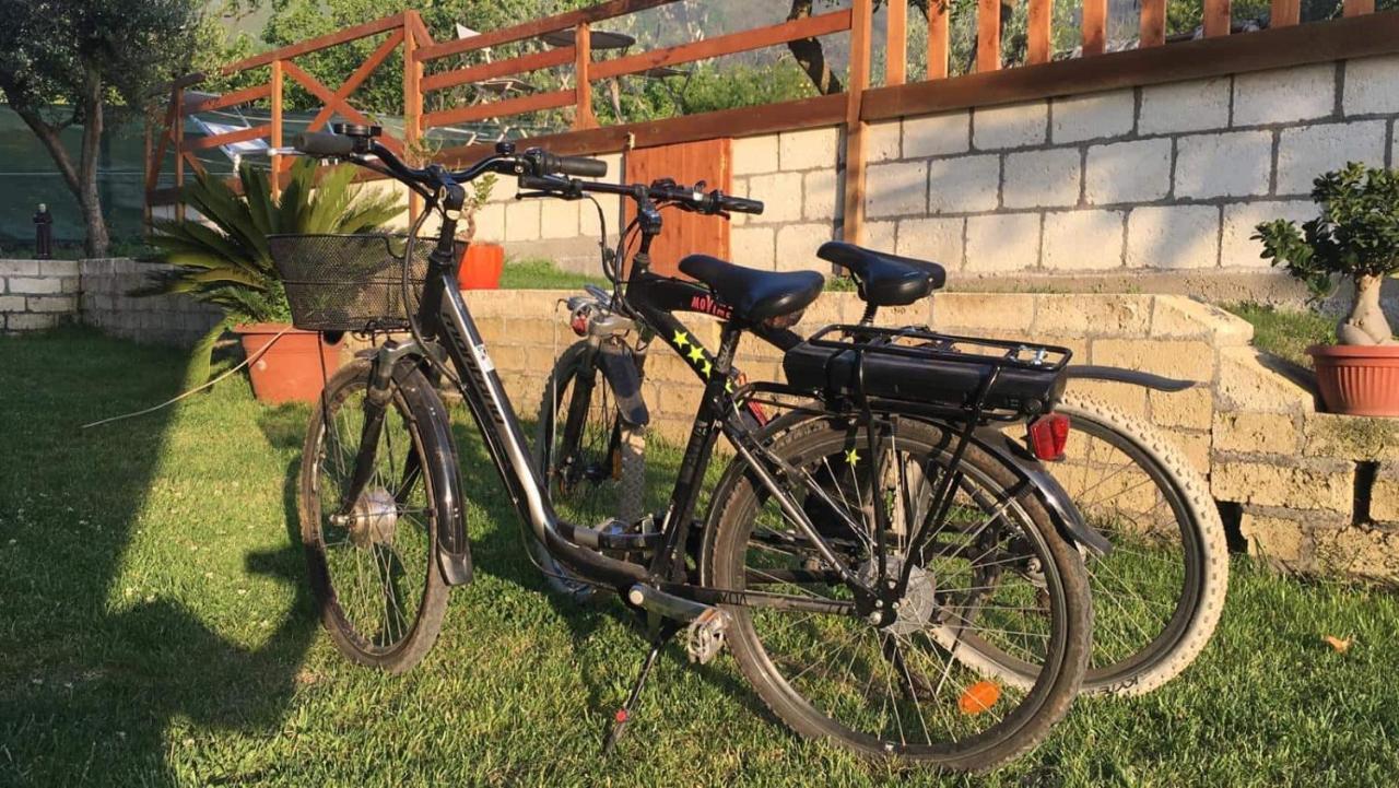 B & B Evergreen Corbara  Εξωτερικό φωτογραφία