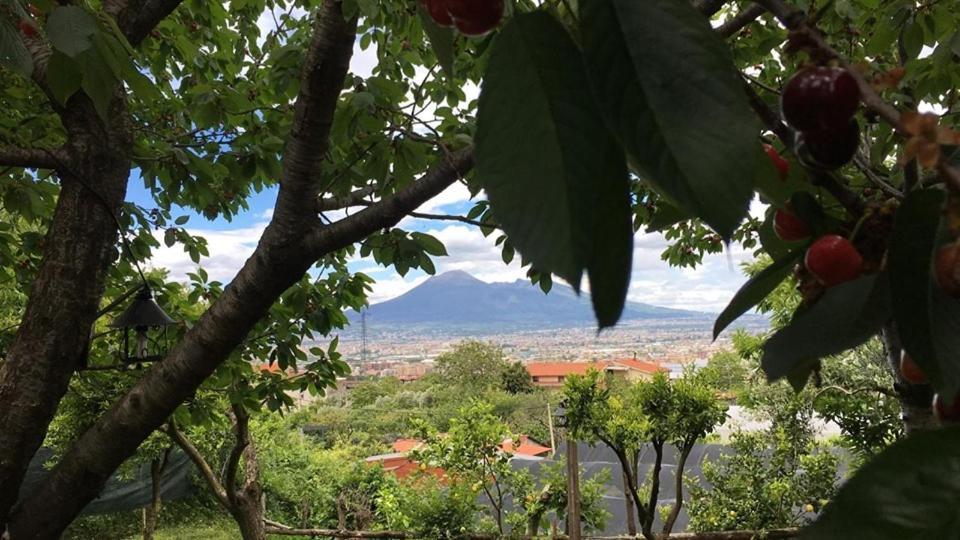 B & B Evergreen Corbara  Εξωτερικό φωτογραφία